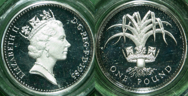 Image of a 1985 silver proof piedfort one pound coin.