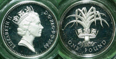 Image of a 1985 silver proof piedfort one pound coin.