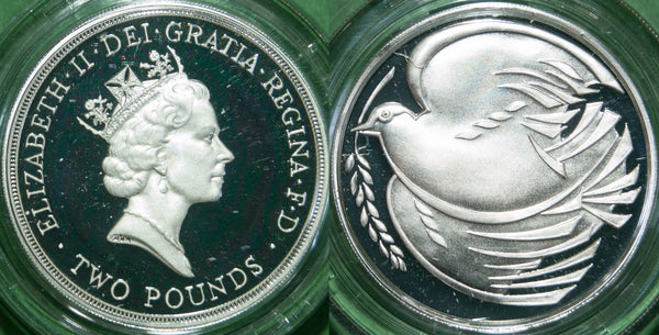 Image of a 1995 silver proof two pounds coin