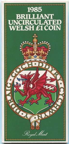 1985 one pound coin in Royal Mint presentation pack