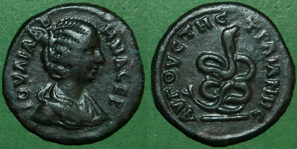 Julia Domna follis of Augusta Trajana with fish-tailed snake reverse