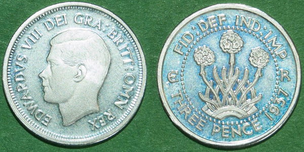 A private pattern silver threepence of Edward VIII with a thrift plant on the reverse.